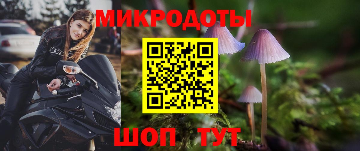 Калининград  купить  сайты  Вход с VPN  Галлюциногенные грибы Psilocybe 